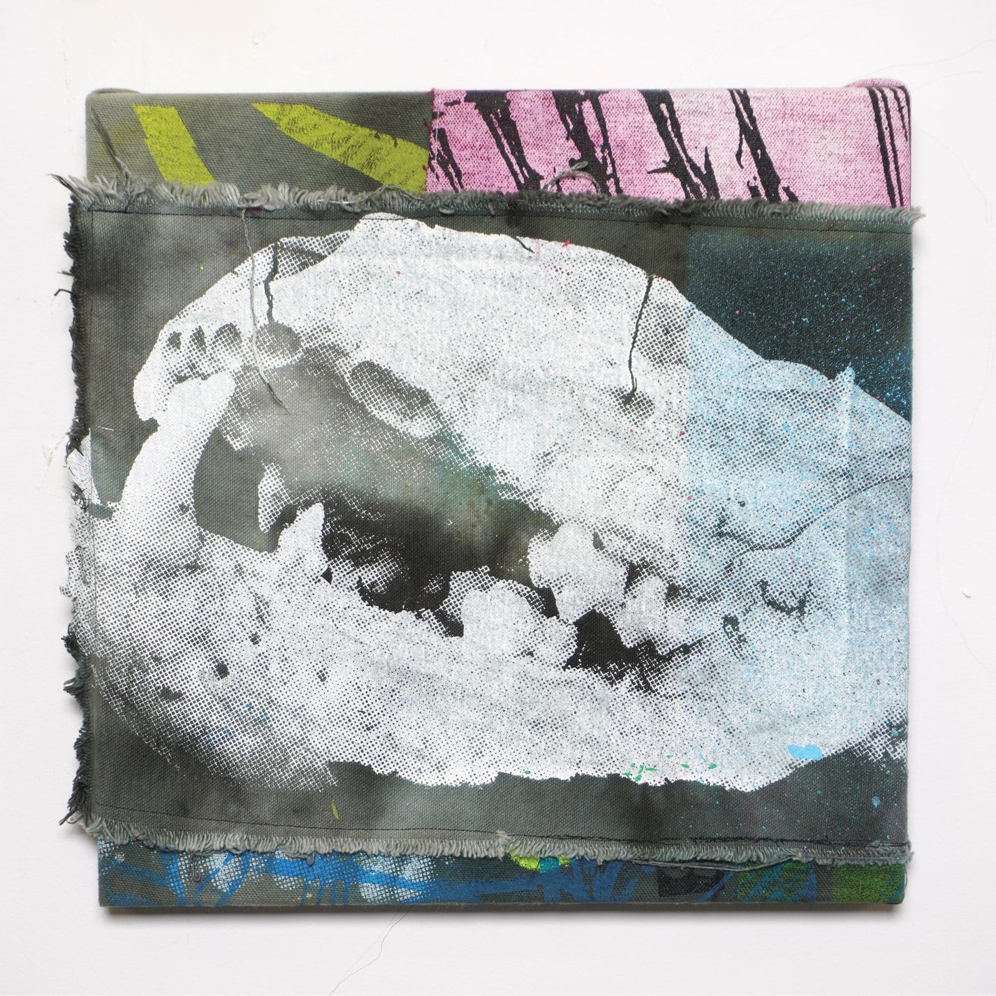 DD_canvas-11 &quot;Split Skull&quot;