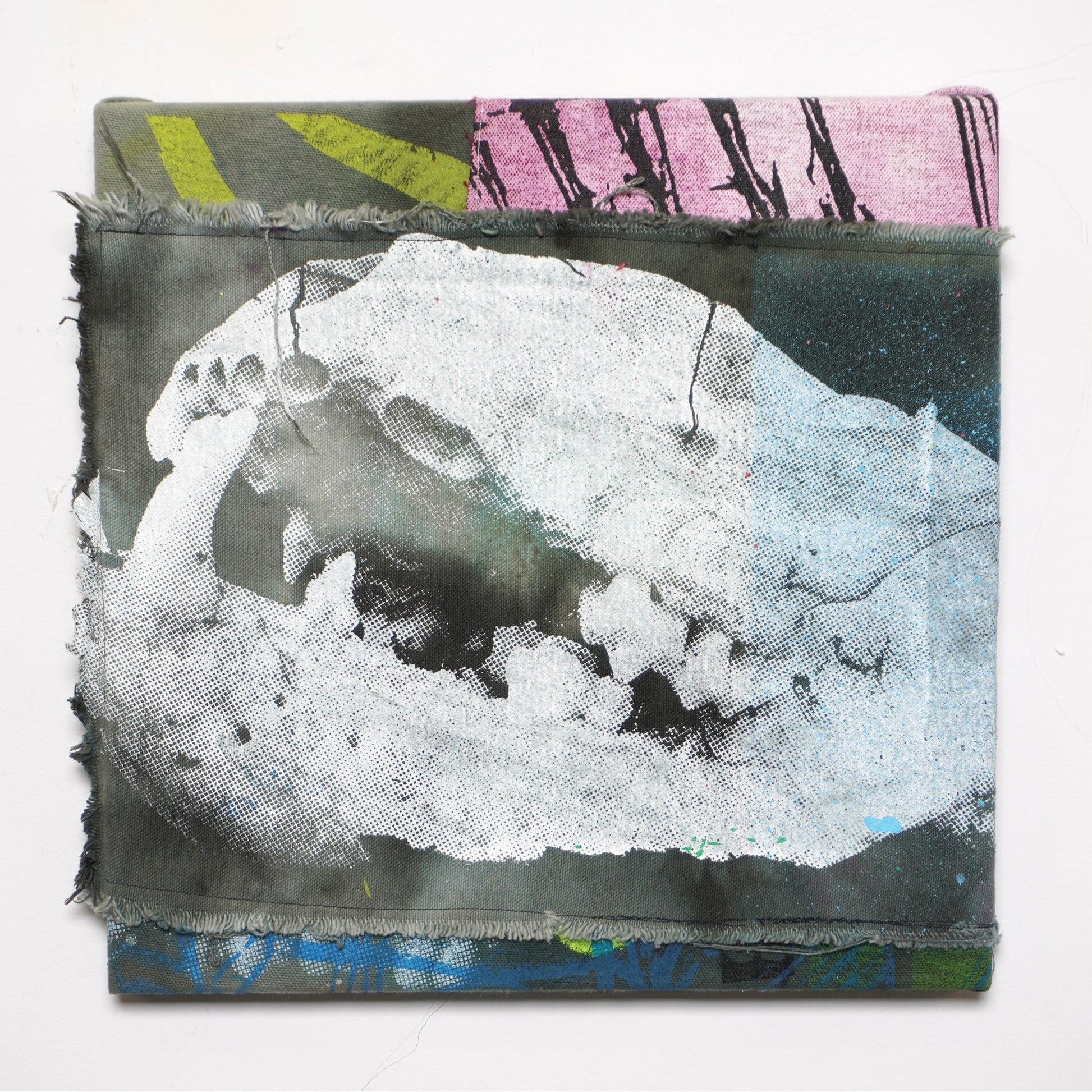 DD_canvas-11 &quot;Split Skull&quot;