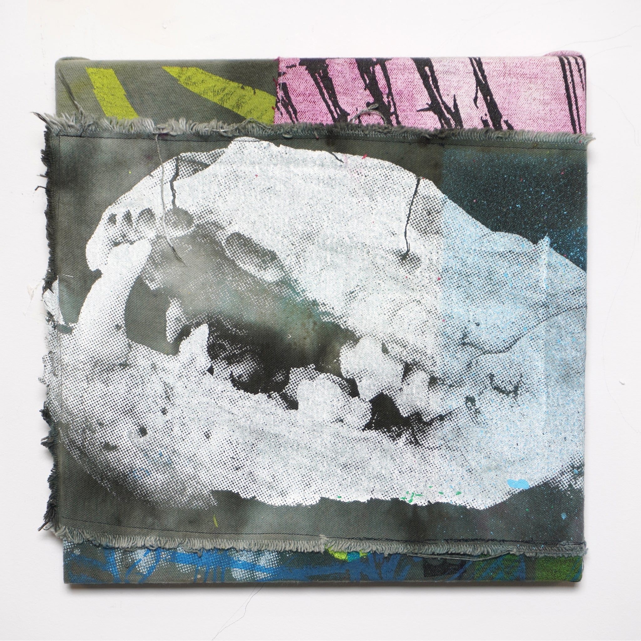 DD_canvas-11 &quot;Split Skull&quot;