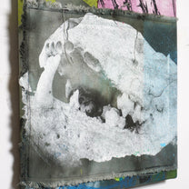 DD_canvas-11 &quot;Split Skull&quot;