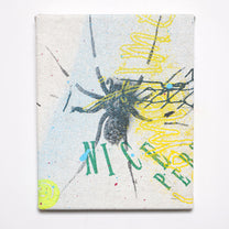 DD_canvas-10 &quot;Nice Spider&quot;