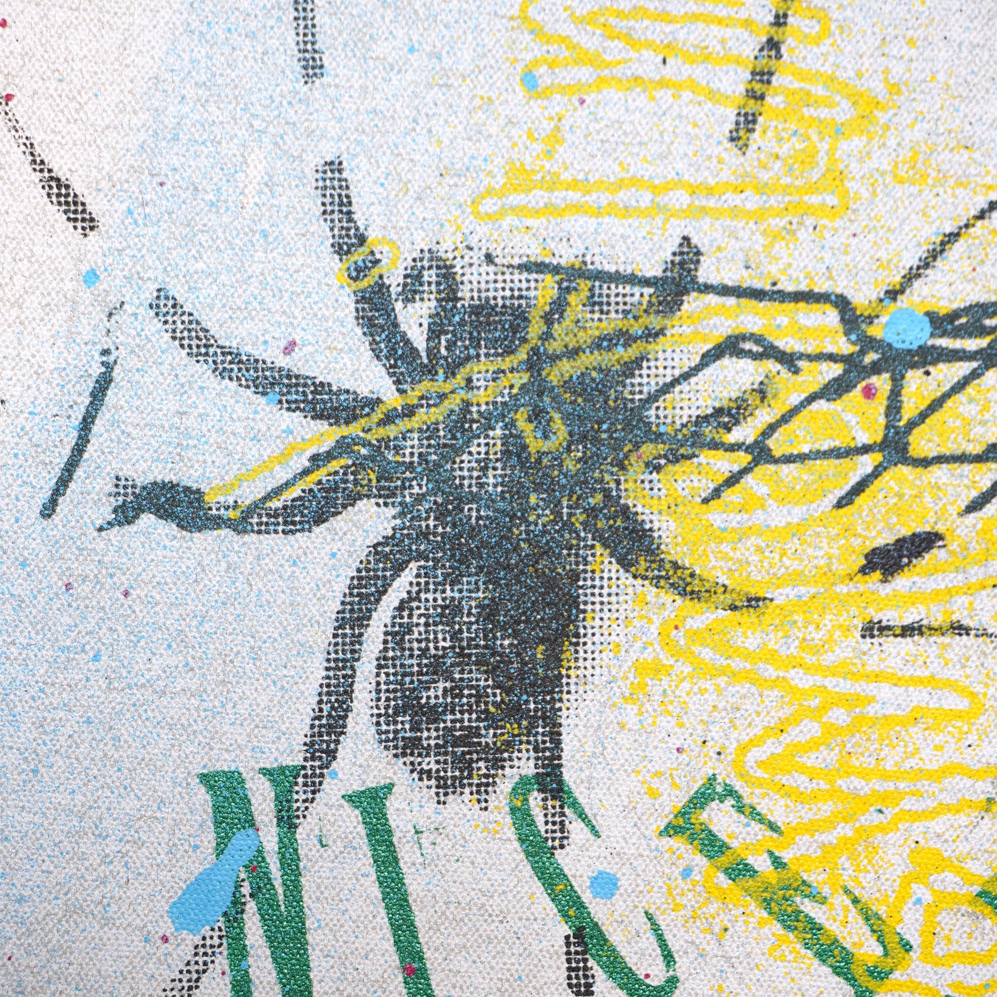 DD_canvas-10 &quot;Nice Spider&quot;