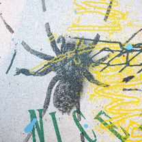 DD_canvas-10 &quot;Nice Spider&quot;