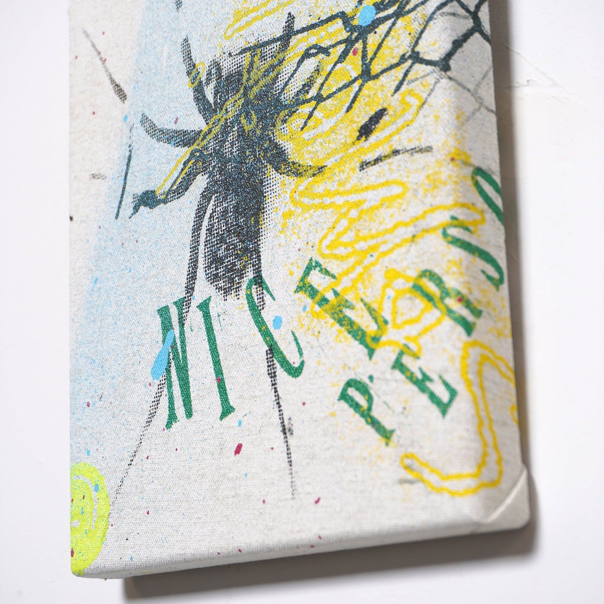 DD_canvas-10 &quot;Nice Spider&quot;