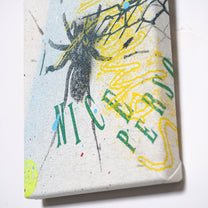 DD_canvas-10 &quot;Nice Spider&quot;