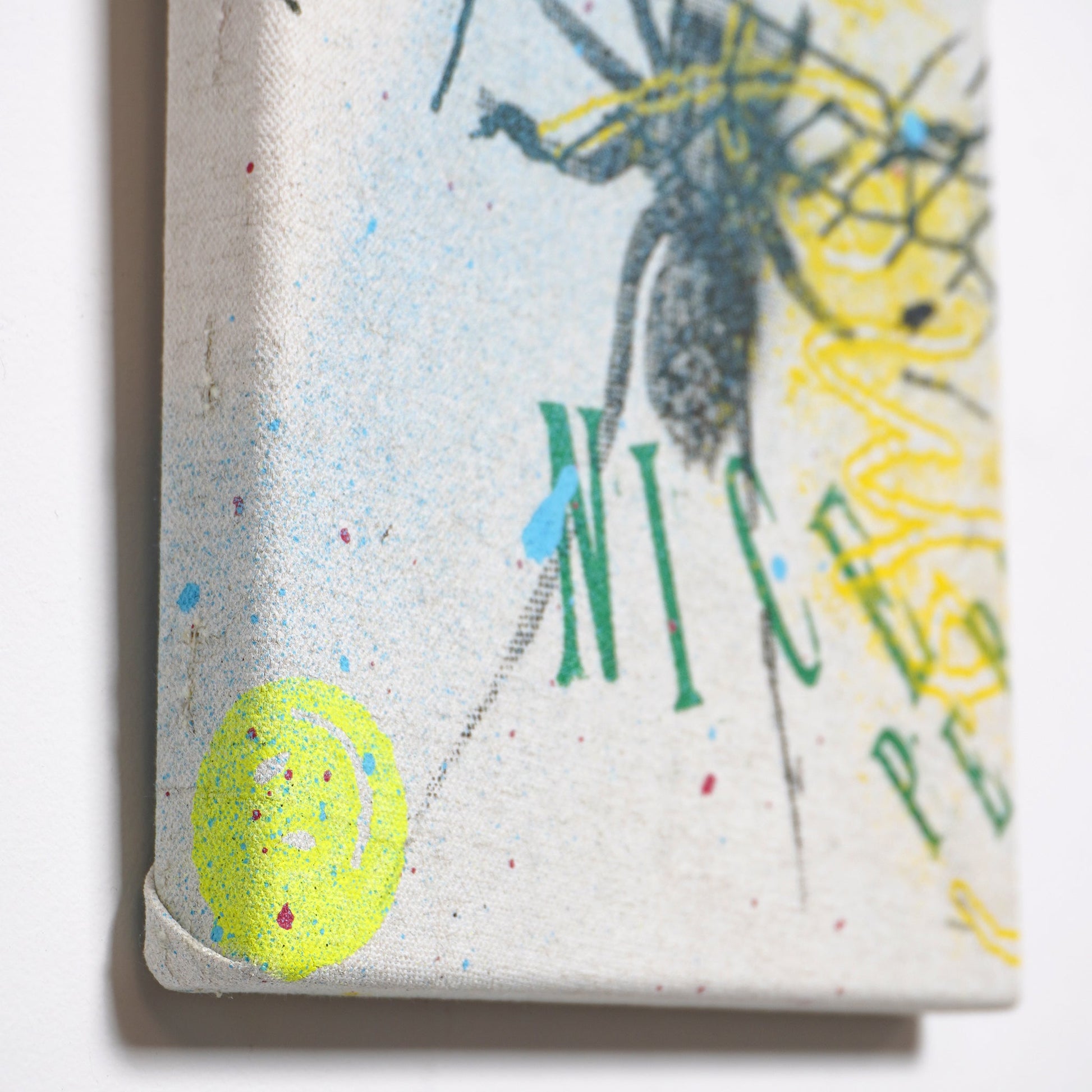 DD_canvas-10 &quot;Nice Spider&quot;