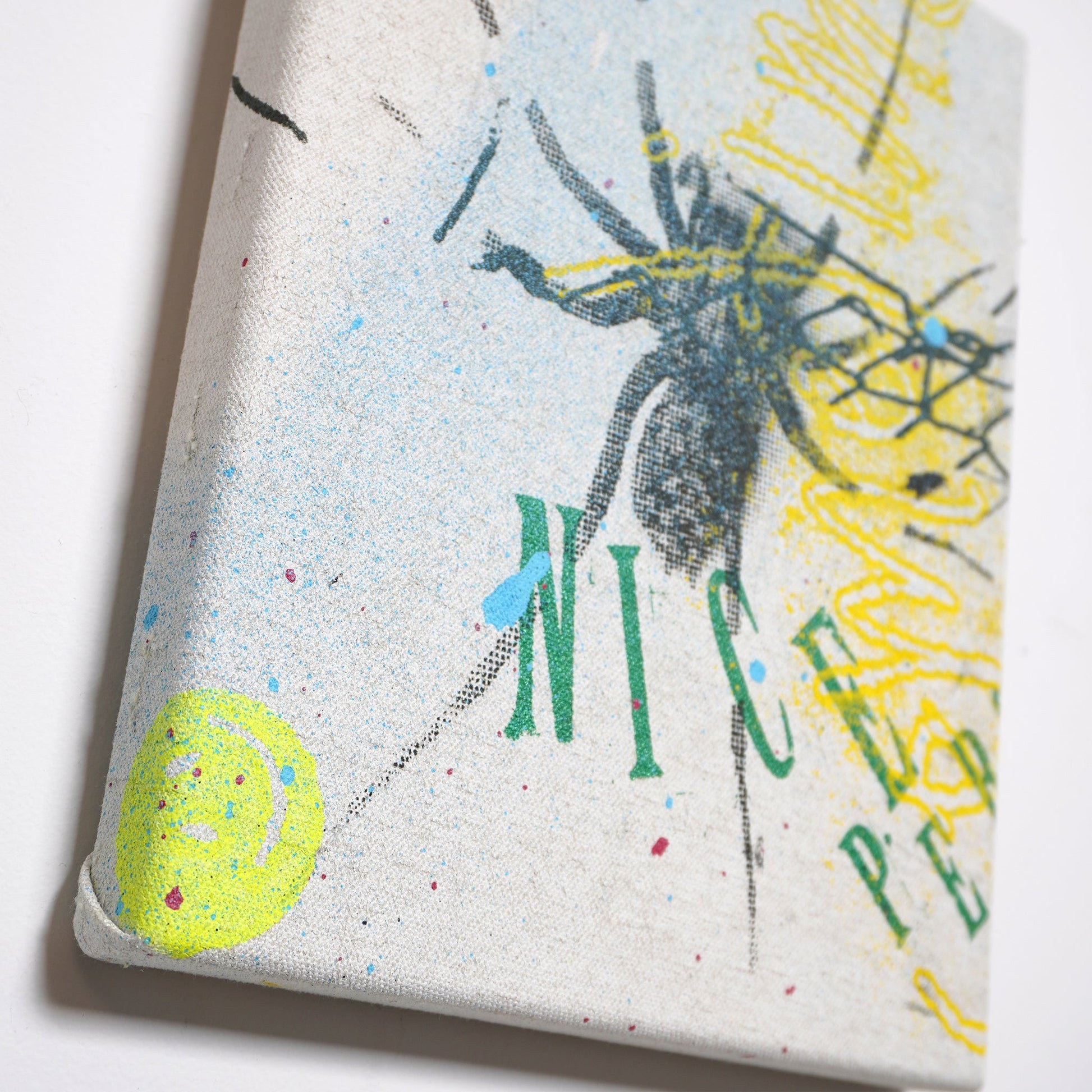 DD_canvas-10 &quot;Nice Spider&quot;