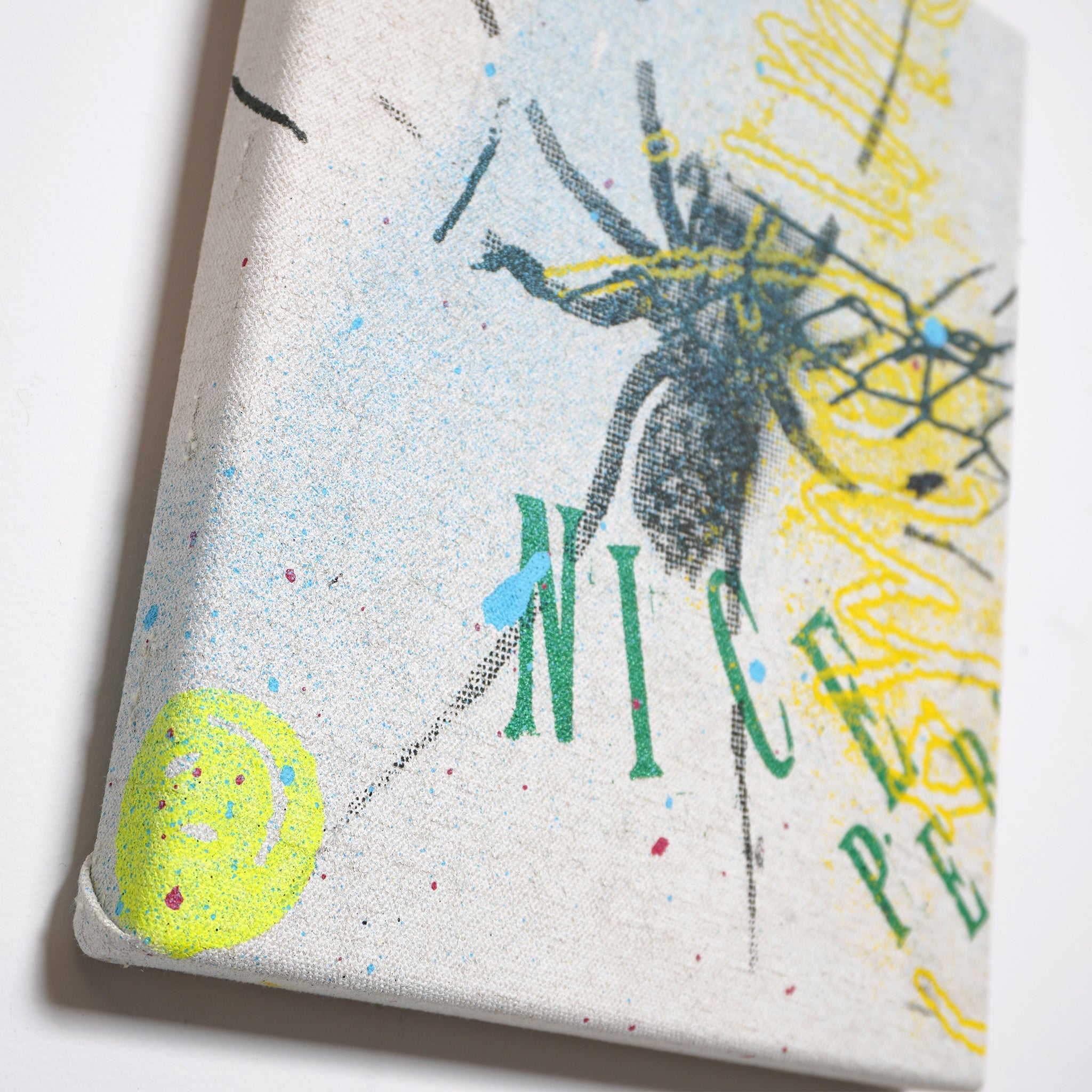 DD_canvas-10 &quot;Nice Spider&quot;