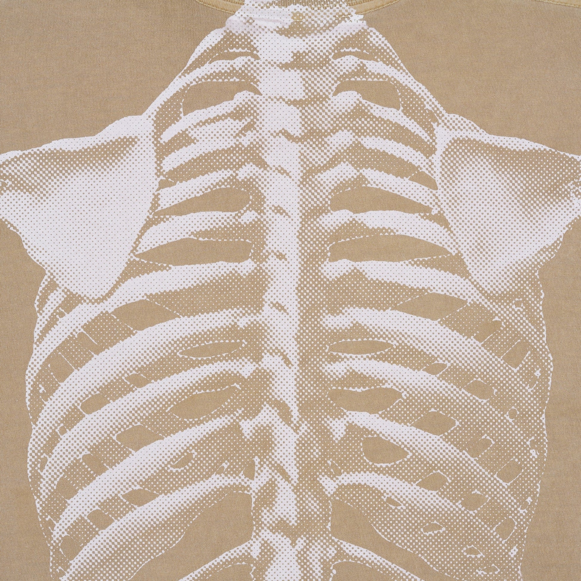 SkeleShirt [Mushroom]