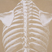 SkeleShirt [Mushroom]