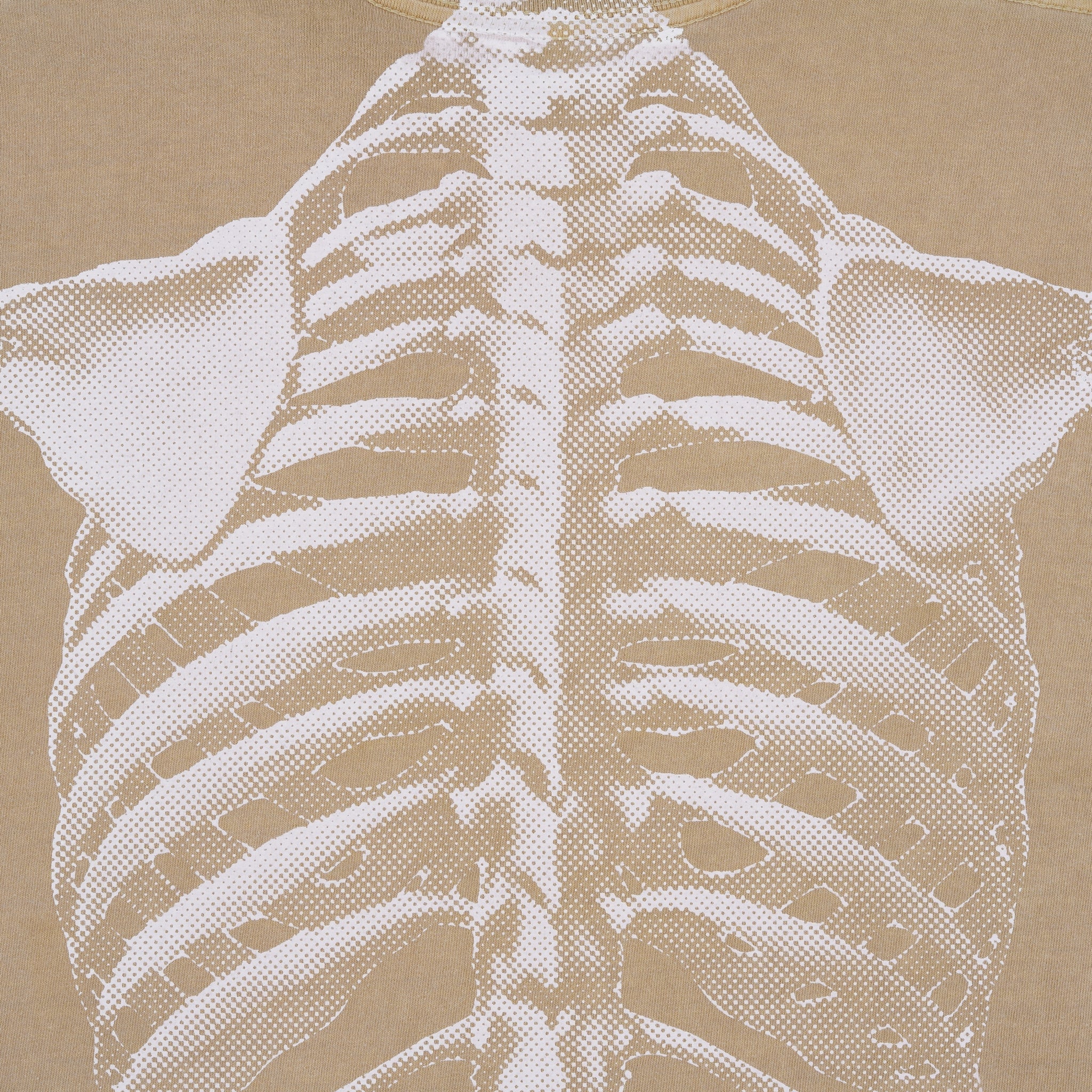 SkeleShirt [Mushroom]