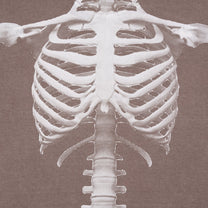 SkeleShirt [Patchouli]